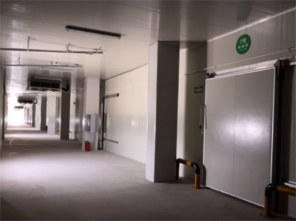 建造200噸的肉類冷鏈冷凍庫(kù)如何做好規(guī)劃設(shè)計(jì)？