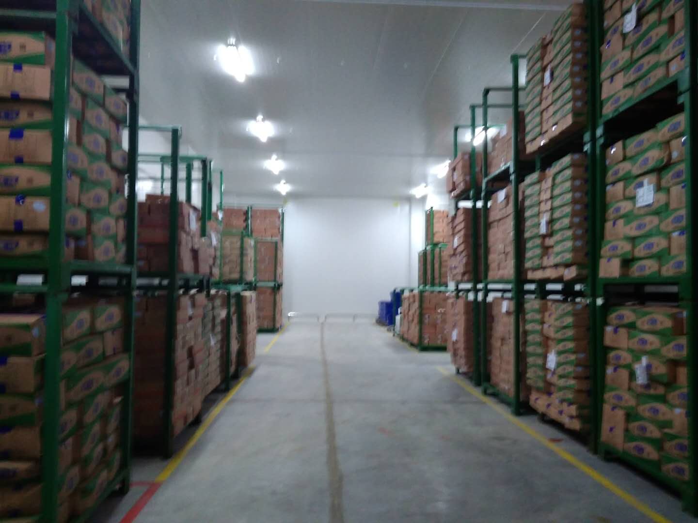 建設8500㎡陰涼物流低溫倉庫安裝配置方案費用是多少？