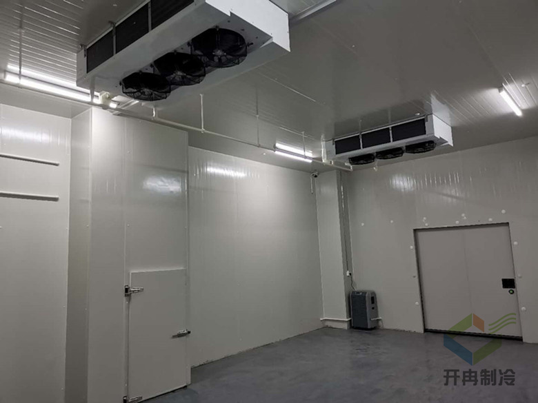 建設(shè)醫(yī)藥包裝自動(dòng)化冷庫(kù)安裝，自動(dòng)化冷藏庫(kù)有哪些優(yōu)點(diǎn)？