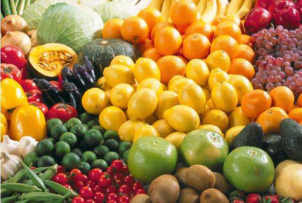 一個500平水果氣調(diào)保鮮冷庫設計