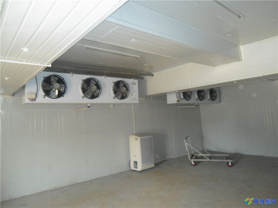 一個500平水果氣調(diào)保鮮冷庫設計