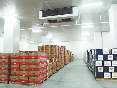 大型蕃茄保鮮冷庫設計、西紅柿冷庫保鮮貯藏