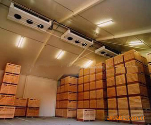 果蔬冷庫香蕉保鮮冷庫工程建造、香蕉保鮮技術