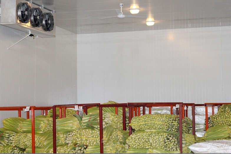 果蔬經(jīng)銷企業(yè)建造冷庫(kù)劃算嗎?