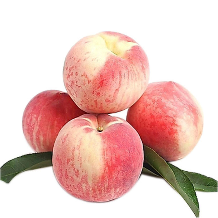 桃子冷庫保鮮方法，水果氣調庫安裝設計