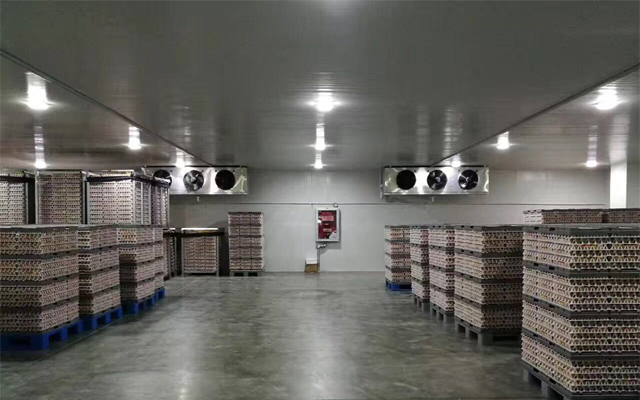 20000立方米生鮮物流冷庫建造工程價格,冷庫方案