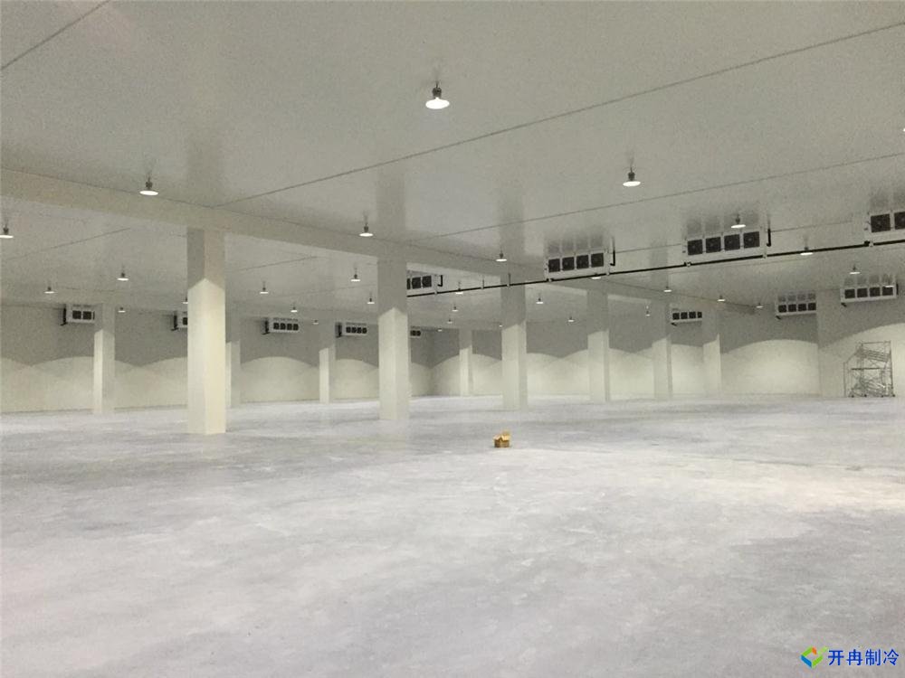 浙江建-60℃金槍魚超低溫冷庫,冷庫總價(jià)預(yù)算多少