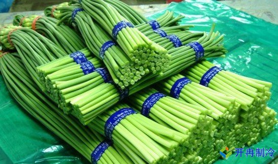 3000噸蒜薹冷庫前期規(guī)劃，冷庫造價預算多少錢