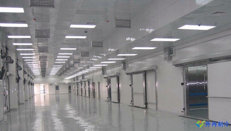 50000噸豬肉冷庫,冷庫總投資需要多少錢